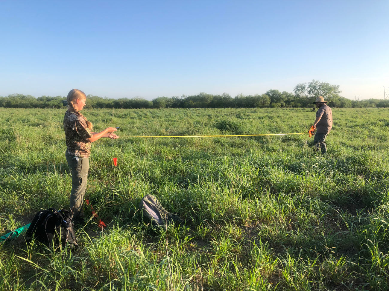 RGJV Begins First Official Monitoring Season on South Texas Grassland Restoration Incentive Program